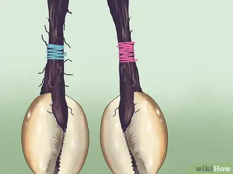 Image intitulée Put Cowrie Shells on Dreads Step 11