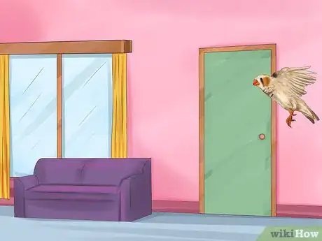 Image intitulée Raise Zebra Finches Step 17