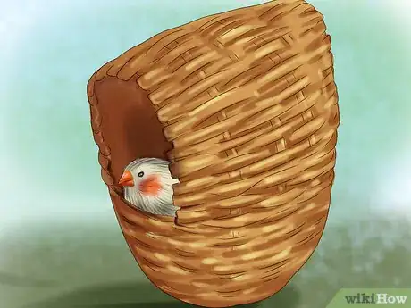 Image intitulée Raise Zebra Finches Step 23
