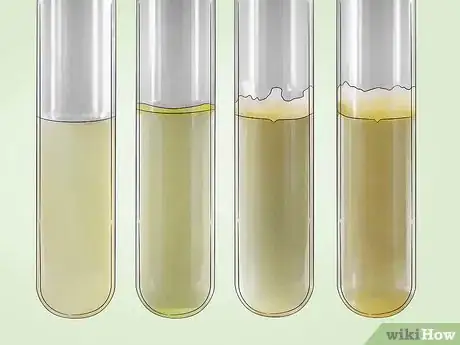 Image intitulée Identify Bacteria Step 26