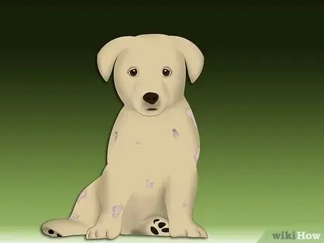 Image intitulée Treat Allergic Dermatitis in Dogs Step 7Bullet1