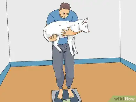 Image intitulée Determine if Your Dog Is Obese Step 12