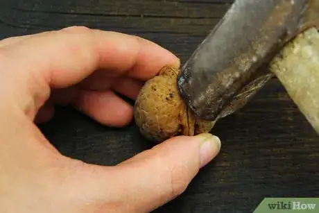 Image intitulée Hull Walnuts Step 11