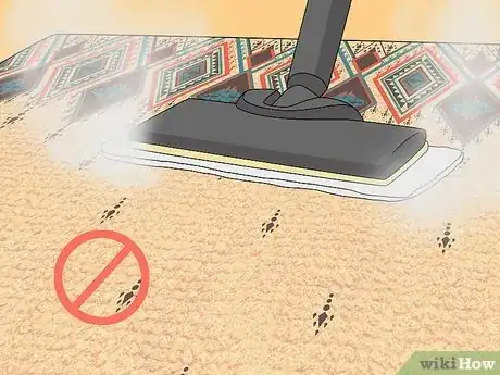 Image intitulée Get Dog Smell Out of the Carpet Step 8