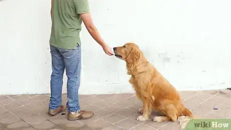 Image intitulée Train a Dog to Stay Step 9