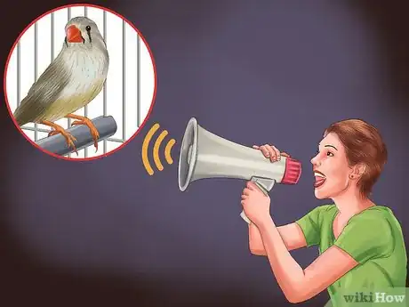 Image intitulée Raise Zebra Finches Step 18