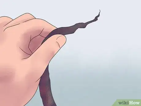 Image intitulée Put Cowrie Shells on Dreads Step 13