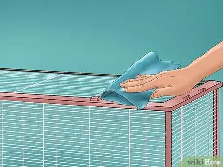 Image intitulée Care for a Ferret Step 5