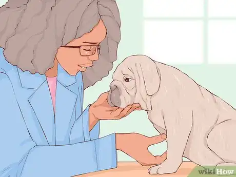 Image intitulée Give Away Your Dog when You Don't Want To Step 10