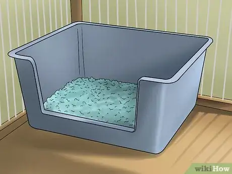 Image intitulée Care for a Ferret Step 8