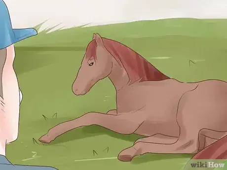 Image intitulée Treat Stomach Ulcers in Horses Step 4