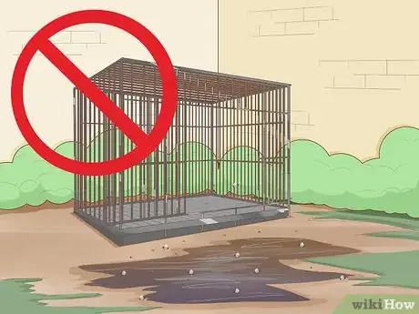 Image intitulée Prevent Worms in Dogs Step 5