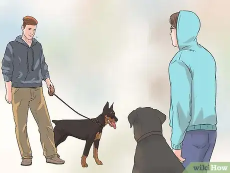 Image intitulée Rehabilitate an Overly Shy Dog Step 11