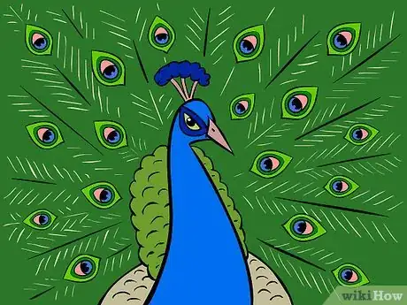 Image intitulée Draw an Exotic Peacock Step 13
