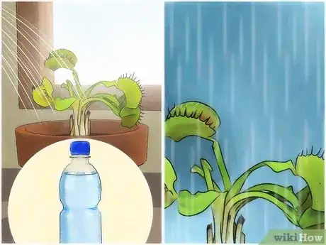 Image intitulée Choose a Venus Flytrap Step 8