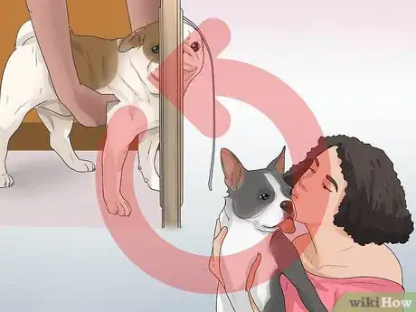 Image intitulée Train Your Dog to Use a Dog Door Step 17
