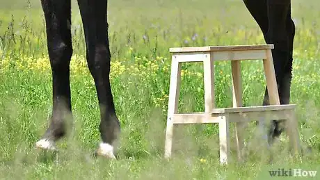 Image intitulée Mount a Horse Step 2