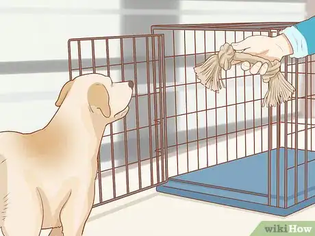 Image intitulée Crate Train an Older Dog Step 4
