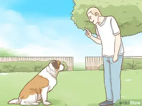 Image intitulée Care for a Saint Bernard Step 4