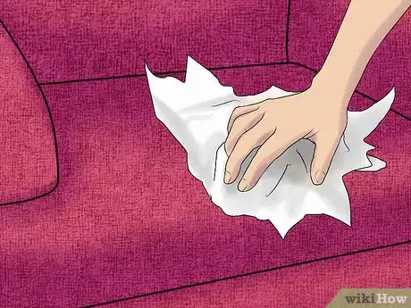 Image intitulée Remove the Smell of Cat or Dog Urine from Upholstery Step 2