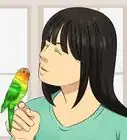 savoir si une perruche m'aime