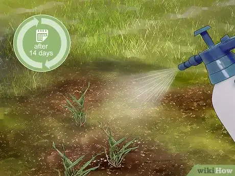 Image intitulée Get Rid of Quack Grass Step 13