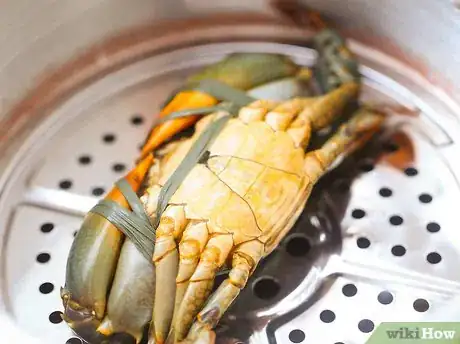 Image intitulée Prepare Crabs Step 9