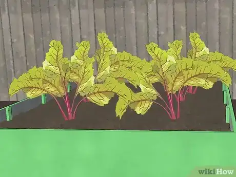 Image intitulée Build Raised Vegetable Garden Boxes Step 15