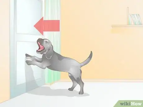 Image intitulée Prevent UTI in Dogs Step 6