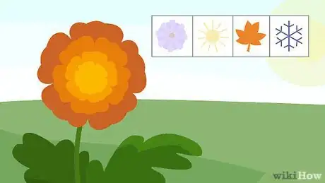 Image intitulée Plant Mums Step 1