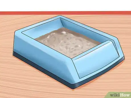 Image intitulée Care for a House Rabbit Step 12