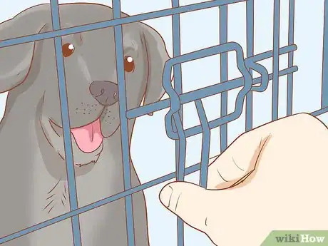 Image intitulée Crate Train an Older Dog Step 7