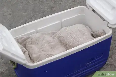 Image intitulée Keep Ice Cream from Melting in a Cooler Step 17
