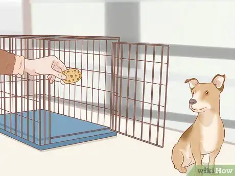 Image intitulée Crate Train an Older Dog Step 3