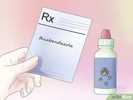 Image intitulée Remove Ear Mites from a Dog Step 3