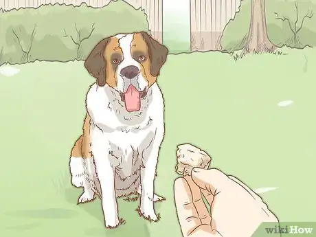 Image intitulée Care for a Saint Bernard Step 3