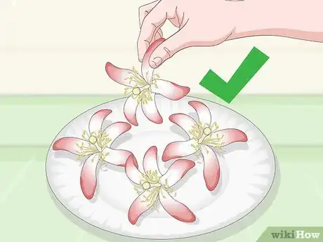Image intitulée Dye Silk Flowers Step 12