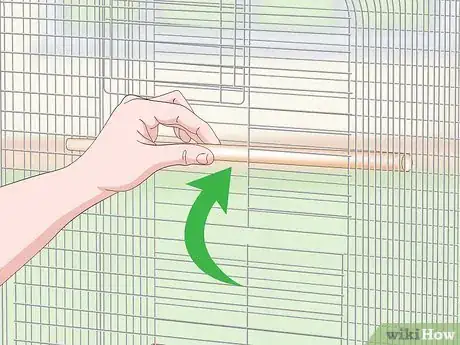 Image intitulée Set Up a Parrotlet Cage Step 7
