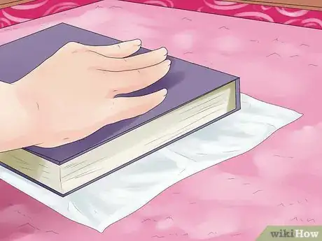 Image intitulée Remove Pet Urine from Carpet Step 1