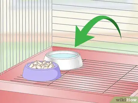 Image intitulée Set Up a Parrotlet Cage Step 6