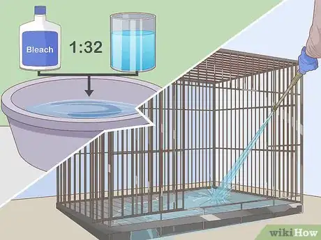 Image intitulée Prevent Worms in Dogs Step 2