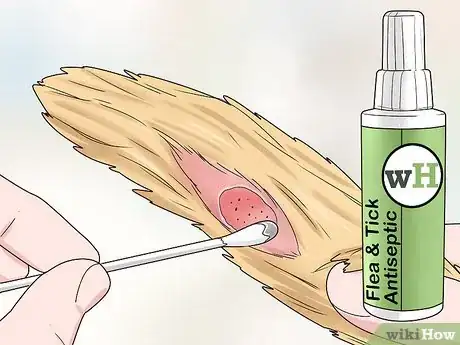 Image intitulée Stop a Dog from Biting Its Tail Step 8