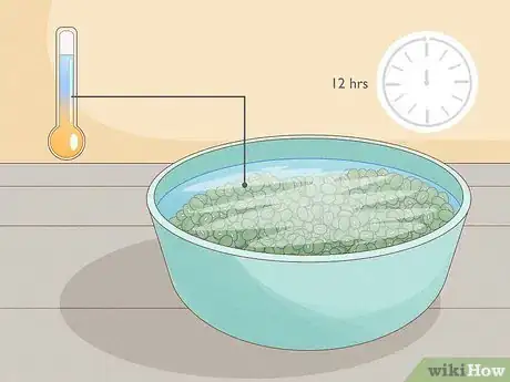 Image intitulée Grow Sprouts Step 12