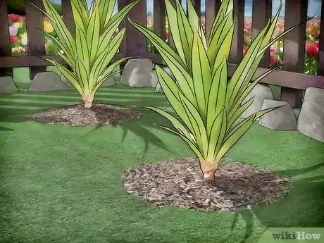 Image intitulée Protect Plants from the Cold Step 2