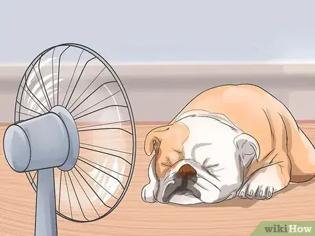 Image intitulée Diagnose Respiratory Problems in Bulldogs Step 10