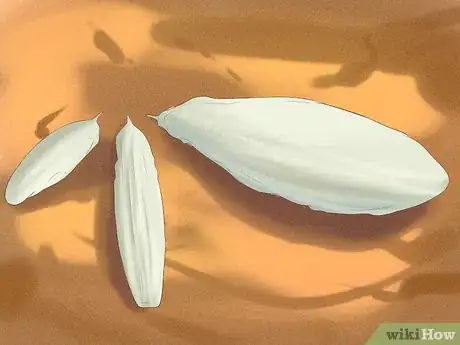 Image intitulée Raise Zebra Finches Step 16