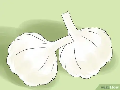 Image intitulée Get Rid of Thrush Step 9