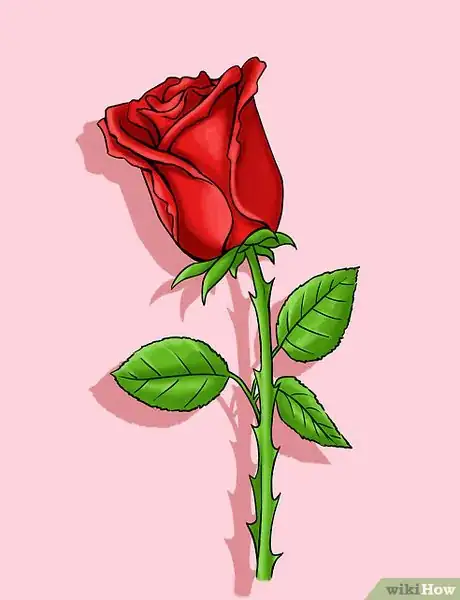 Image intitulée Draw a Rose Intro
