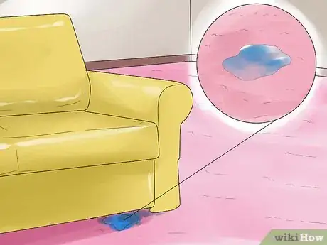 Image intitulée Remove Pet Urine from Carpet Step 8