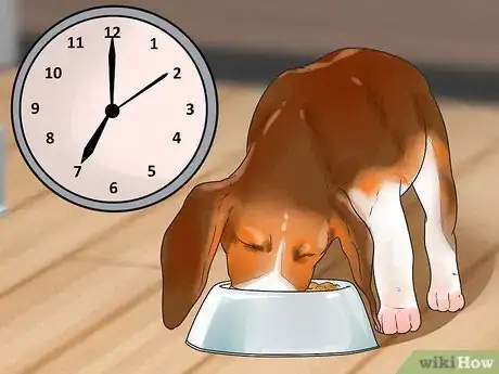 Image intitulée Feed Puppies Step 13